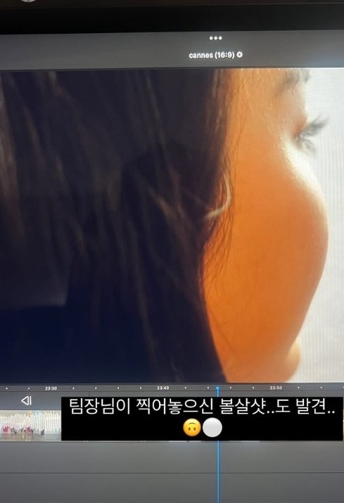 이미지 새창으로 보기 기사 이미지
