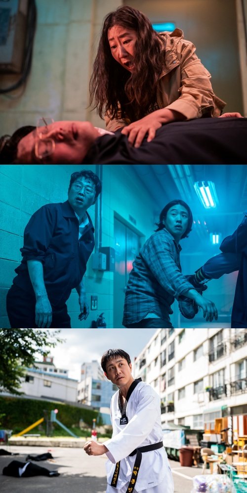 기사 이미지