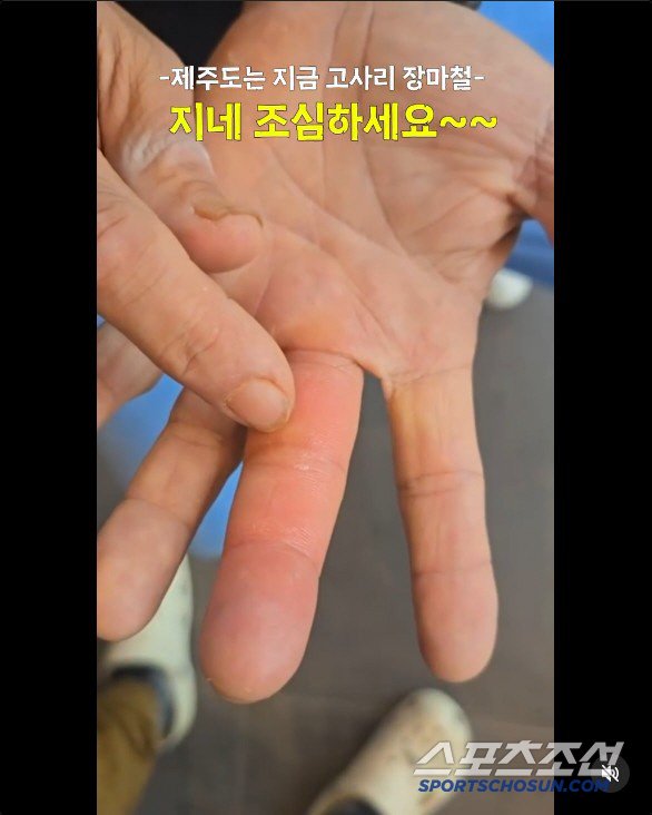 기사 이미지