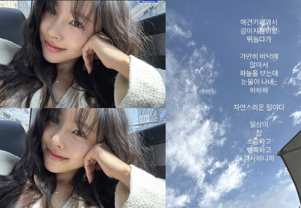 기사 이미지