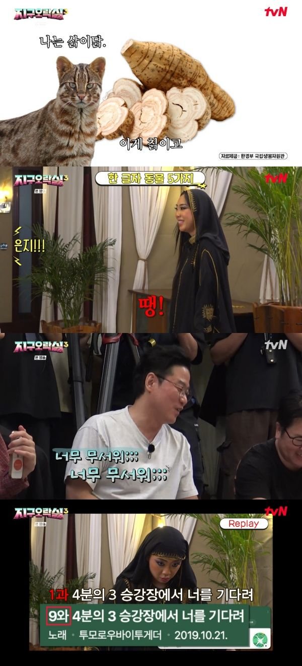 티브이데일리 포토