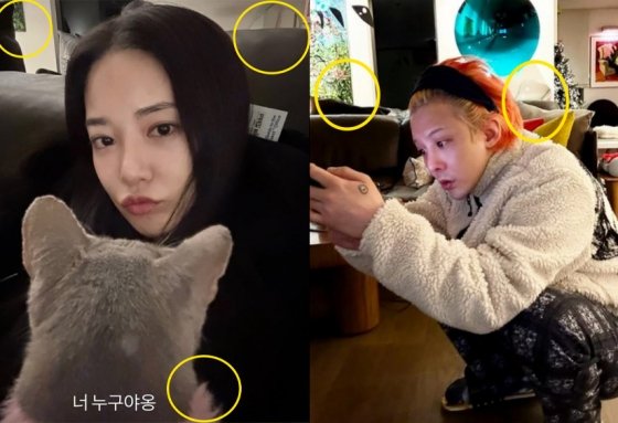 이주연, 지드래곤 /사진=이주연