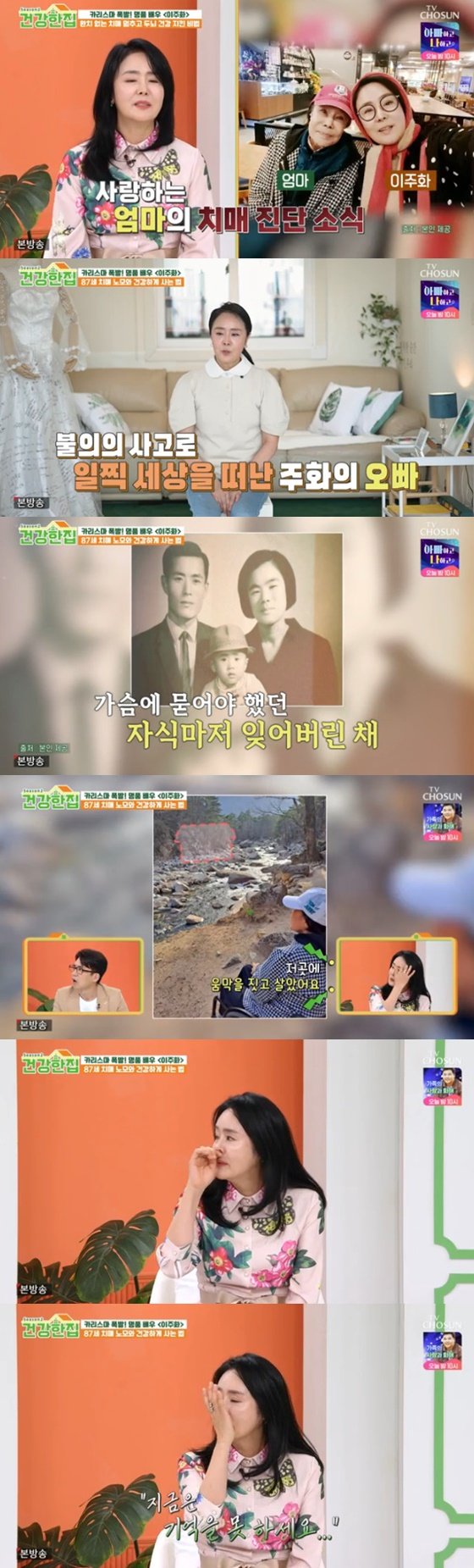 이주화/사진=TV조선