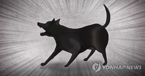 [1보] 대전 동구 일대 맹견 70마리 탈출…주민 대피 재난문자