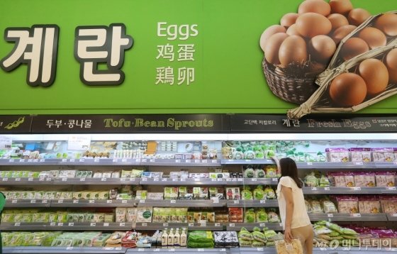 본문이미지