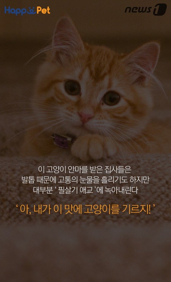 기사 이미지