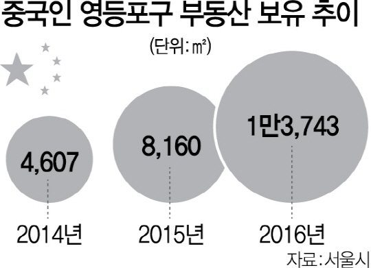 '서울속의 중국'..대림동의 明暗