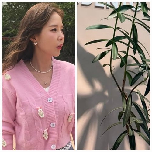 신지 내 삶인데 왜들 그래…눈→타투→교정, 당당한 변화 선언했다
