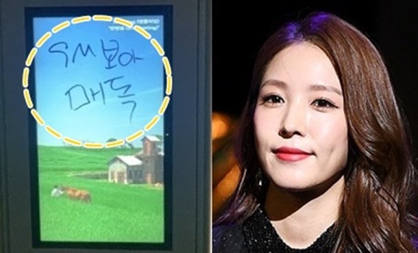 보아, 낙서 테러 피해…범인은 한 사람? 문구·필체 동일
