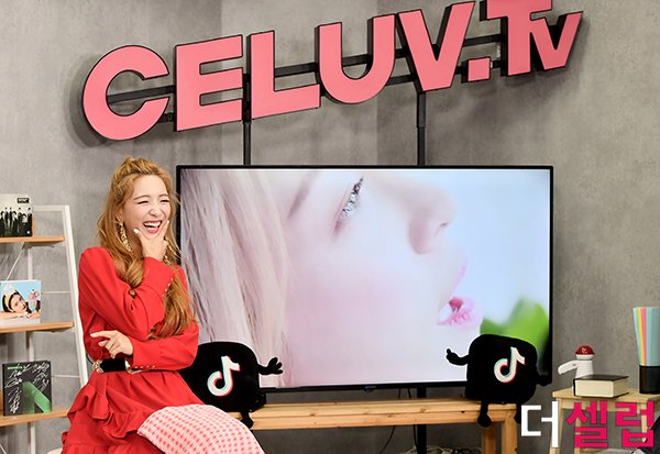 í°ë¸ì´ë°ì¼ë¦¬ í¬í 