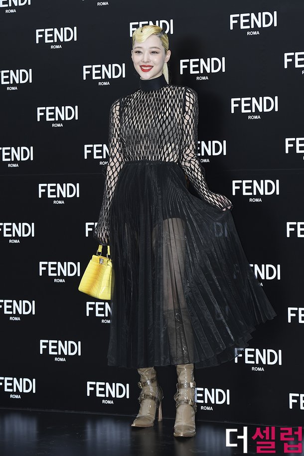 í°ë¸ì´ë°ì¼ë¦¬ í¬í 