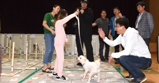 ìš°ë¦¬ ê°•ì•„ì§€ ì™œ ì´ëŸ° í–‰ë™í• ê¹Œ ì„¤ì±„í˜„ ìˆ˜ì˜ì‚¬ ê°•ì˜ ë„¤ì´íŠ¸ ë‰´ìŠ¤