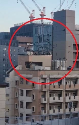 日 건물 옥상에 우르르 몰린 까마귀떼…지진 예측했나?
