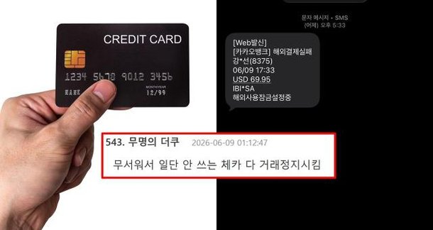 299000원 나도 당했다