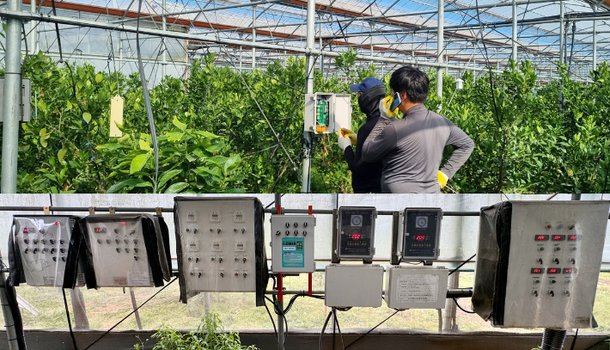인공지능 기반 스마트농업에 GPU 활용 본격 추진