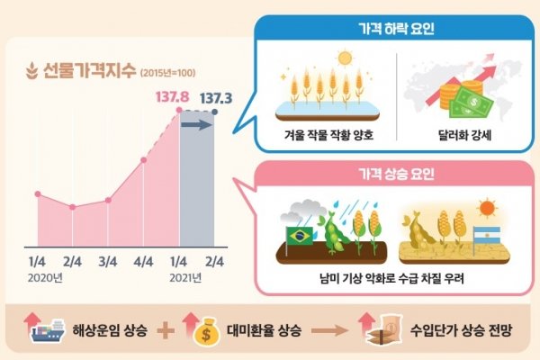 소금 습지 다이어그램