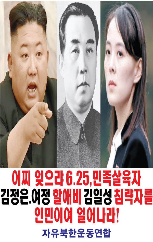 탈북민 단체 '자유북한운동연합'이 경기 파주에서 살포했다고 주장한 대북 전단. /자유북한운동연합