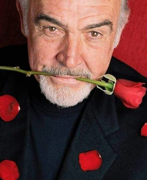 숀 코너리 수염 스타일