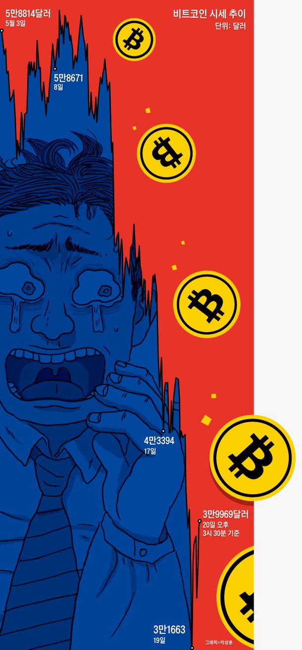 코인 폭락 그 밤 지나자…돈 빼느라 거래소 먹통, 결근 속출 : 네이트 뉴스