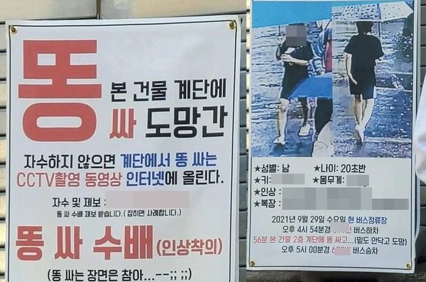 개가 인조 잔디에 오줌 ​​싸고 똥을 싸도 되나요