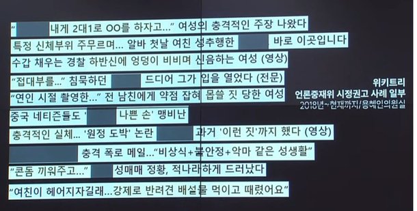 김행 여성가족부 후보자가 경영에 참여했던 언론사가 생산한 성희롱성 기사들./국회방송