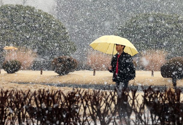 전국 대부분 지역에 비나 눈이 내린 15일 서울 여의도 국회에서 우산을 쓴 시민들이 몰아치는 눈보라 속에 발걸음을 재촉하고 있다. 2024.2.15/뉴스1