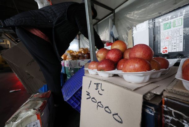 서울 송파구 가락농수산물도매시장에서 상인이 과일을 정리하고 있다. 2024.3.12/뉴스1