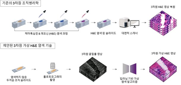 조직 과학 그림
