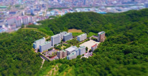 창신대, AI 기본교육과정 개발 지원사업 선정…경남 유일 '교육 거점' 도약