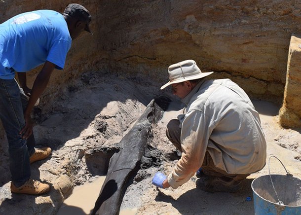 과학자들이 아프리카 잠비아에서 목조 건축물의 일부로 보이는 유물을 발굴하고 있다./영 리버풀대