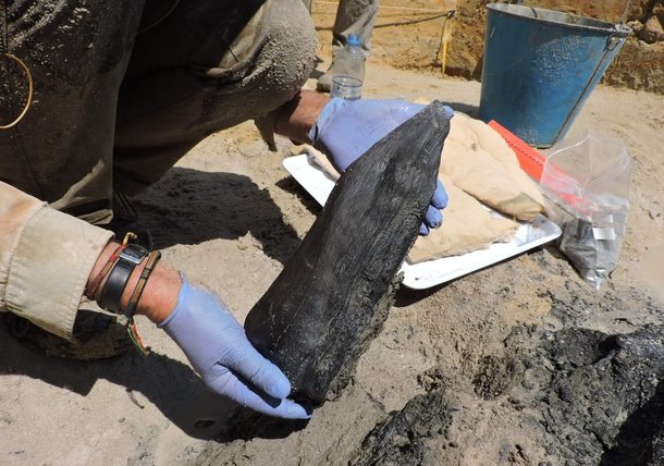 잠비아 칼람보 폭포 유적지에서 나온 부싯돌. 47만6000년 전 고인류는 이 석기로 통나무에 홈을 팠던 것으로 추정된다./영 리버풀대