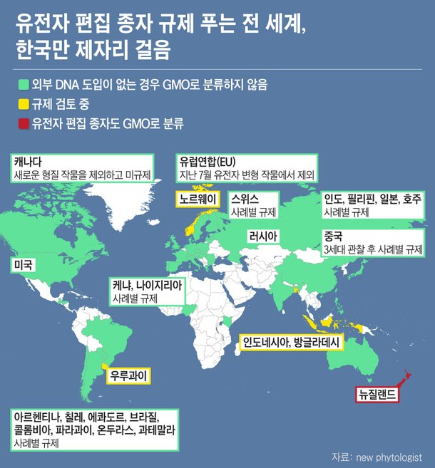 유전자교정 기술에 대한 전 세계 주요국의 규제 현황을 보여주는 지도. 한국은 GEO와 GMO를 구분하지 않고 동일 규제한다. 뉴질랜드는 현재는 GEO를 규제 대상에 놓고 있지만, 내년에 GMO와 별개로 구분하겠다고 최근 발표했다./그래픽=정서희