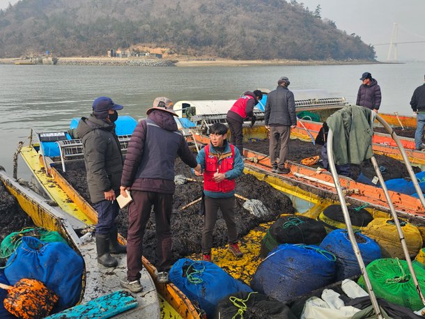 지난 22일 신안군 압해읍 송공항에서 물김 경매가 진행되고 있다. 빨간색 조끼를 입은 고홍준 신안군수협 과장이 경매를 진행하고, 중도인들로부터 입찰서를 받고 있다. /윤희훈 기자