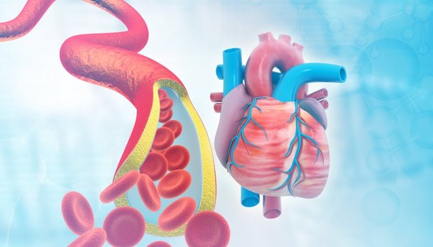 고혈압은 심뇌혈관질환 '방아쇠'…5년마다 발병 위험 30%씩 증가 - 네이트 뉴스