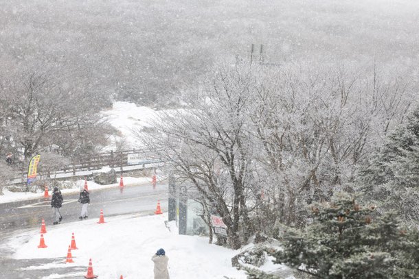 제주 산지에 최고 55㎝ 눈 쌓여…한라산 입산 통제