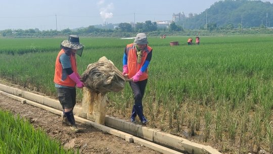 한국타이어 임직원들이 참여한 청주지역 수해 복구 활동 현장.사진제공=한국타이어앤테크놀로지