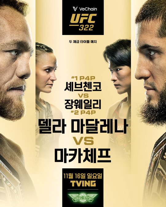 네이트 뉴스 이미지: UFC 322 홍보 포스터