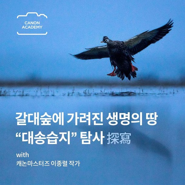 캐논코리아, 이종렬 작가와 대송습지 조류 생태 촬영