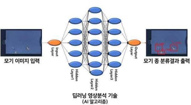 인공지능으로 모기 감시한다…감염병 대응 강화