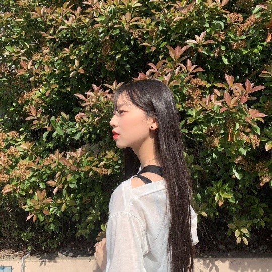 더미모 이미지