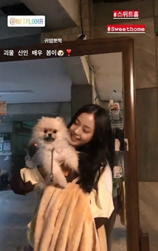 기사 이미지