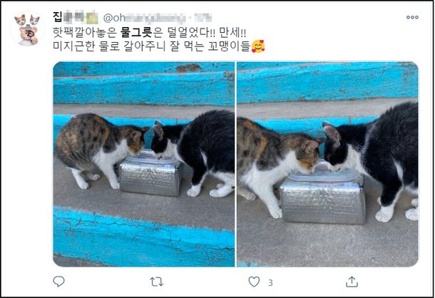 물그릇 꽝꽝 어는 혹한…길고양이 위한 작은 실천 : 네이트 뉴스