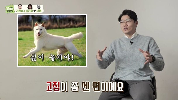 한국의 진돗개는 똑똑하다