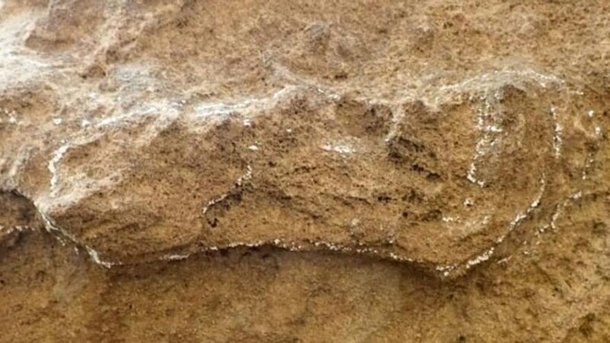 남아공 남부 해안지대에서 발견된 15만3천년 전의 발자국 화석. Charles Helm/넬슨만델라대