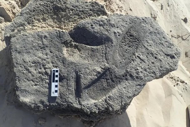 남아공에서 발견된 7만9천~14만8천년 전의 발자국 화석. 발가락이나 발바닥 아치 흔적이 나타나지 않는다. Charles Helm/넬슨만델라대