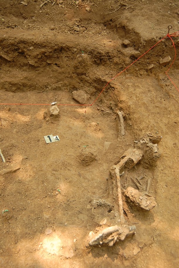2009년 공주 상왕동 살구쟁이에서 발굴된 의족. 청계인류진화연구소 제공