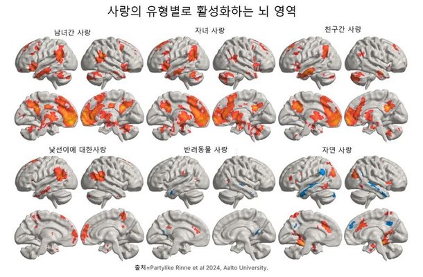 사람간의 사랑과 관련한 뇌 영역은 거의 비슷했다. 다만 활성화 정도가 다를 뿐이었다.