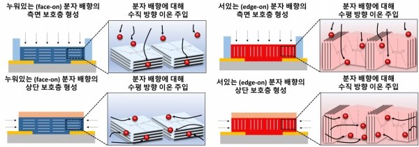 quot;전자소자 구동속도 100배↑quot;…인체·식물 고속전자센서 개발 청신호