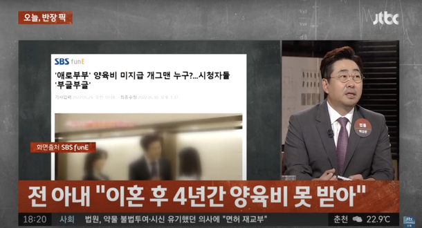 [단독] &apos;배드파더&apos; 지목 개그맨 임성훈에 개만도 못한 새X댓글…무죄→유죄 왜? [세상&amp;]