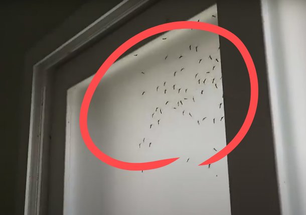 &quot;Ã¢ Àýë Áö Ҩä!&quot; Ã© úáÎÅÍ 'ñ»ó»çÅÂ'¦ûÂïÇÑ ú ÇÄ£Ù [Áö, ?]